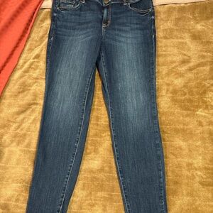 Lane Bryant Dark Blue Skinny Jeans